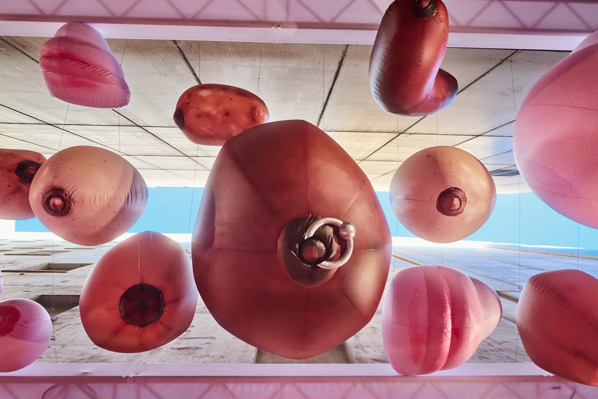 Boobie Lane, the Nala at Myer laneway installation