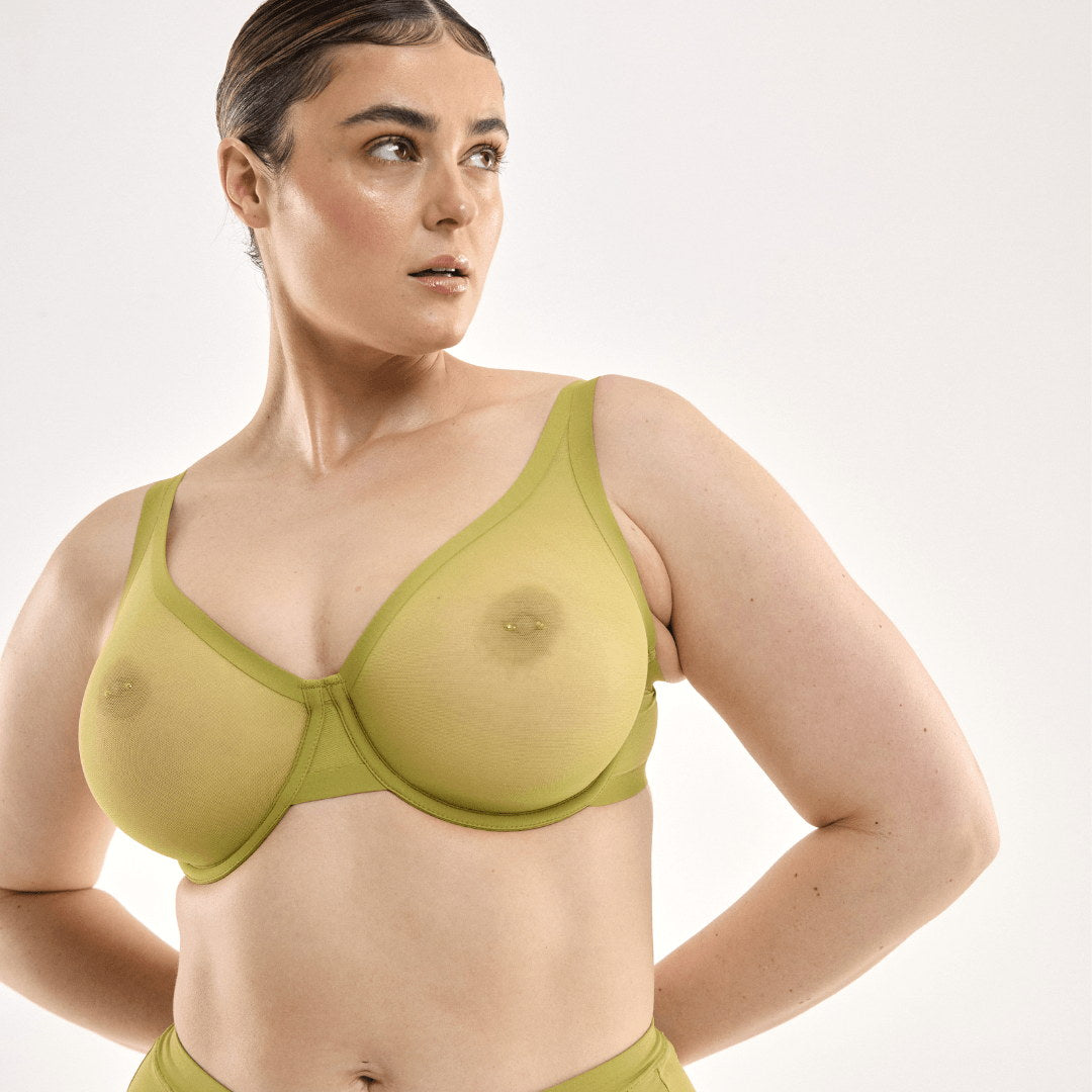 STEFANIA / 14DD, 14C / KIWI, 14D / KIWI, 14DD / KIWI, 14E / KIWI, 14F / KIWI, 14G / KIWI, 14h / KIWI, 16C / KIWI, 16D / KIWI, 16DD / KIWI, 16E / KIWI, 16F / KIWI, 16G / KIWI, 18C / KIWI, 18D / KIWI, 18DD / KIWI, 18E / KIWI, 18F / KIWI, 18G / KIWI, 20D / KIWI, 20DD / KIWI, 20E / KIWI, 20F / KIWI, 22D / KIWI, 22DD / KIWI, 22E / KIWI, 22F / KIWI, 22G