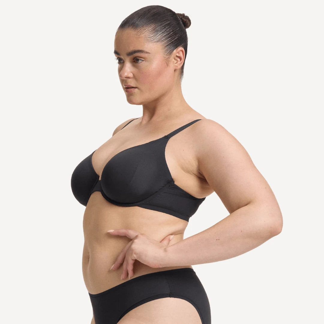 STEFANIA / 14D, 14D / LICORICE, 14DD / LICORICE, 14E / LICORICE, 14F / LICORICE, 14G / LICORICE, 16A / LICORICE, 16C / LICORICE, 16D / LICORICE, 16DD / LICORICE, 16E / LICORICE, 16F / LICORICE, 16G / LICORICE, 18D / LICORICE, 18DD / LICORICE, 18E / LICORICE, 18F / LICORICE, 18G / LICORICE, 20D / LICORICE, 20DD / LICORICE, 20E / LICORICE, 20F / LICORICE, 22D / LICORICE, 22DD / LICORICE, 22E / LICORICE, 24D / LICORICE, 24DD / LICORICE, 24E / LICORICE