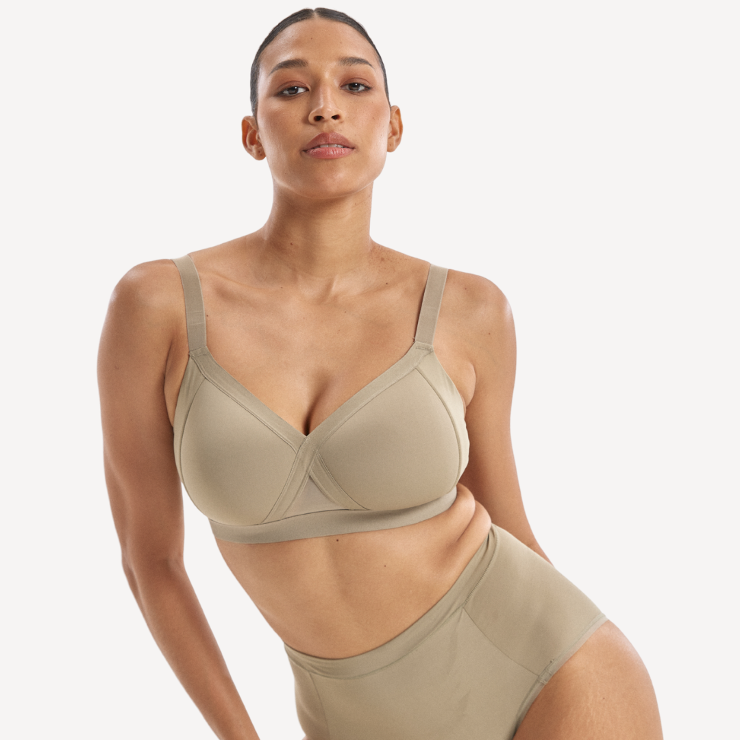 ALEJANDRA / 14D, 10C / PORCINI MUSHROOM, 10D / PORCINI MUSHROOM, 10DD / PORCINI MUSHROOM, 10E / PORCINI MUSHROOM, 12B / PORCINI MUSHROOM, 12C / PORCINI MUSHROOM, 12D / PORCINI MUSHROOM, 12DD / PORCINI MUSHROOM, 12E / PORCINI MUSHROOM, 12F / PORCINI MUSHROOM, 12G / PORCINI MUSHROOM, 12H / PORCINI MUSHROOM, 14B / PORCINI MUSHROOM, 14C / PORCINI MUSHROOM, 14D / PORCINI MUSHROOM