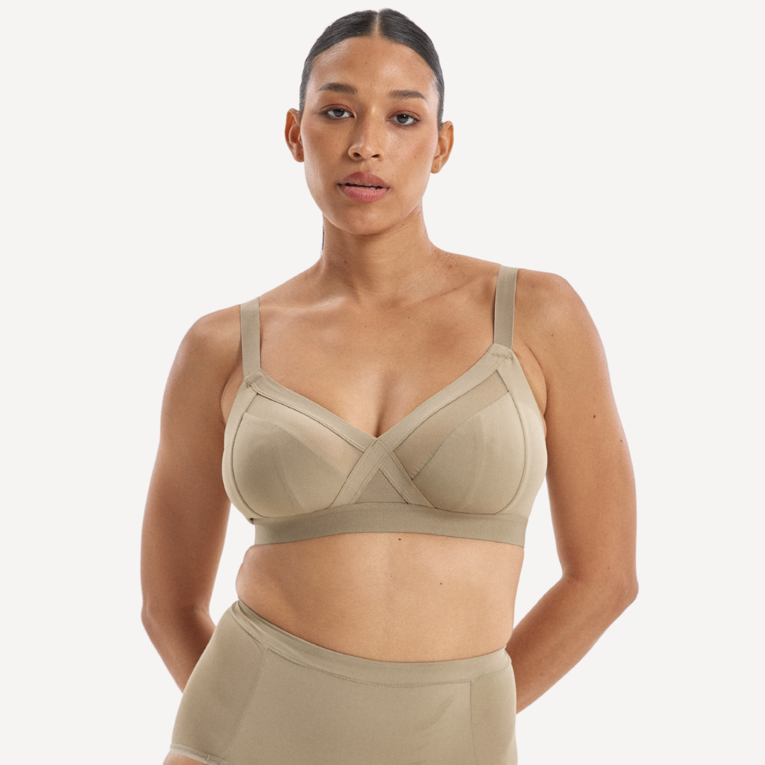 ALEJANDRA / 14D, 10B / PORCINI MUSHROOM, 10C / PORCINI MUSHROOM, 10D / PORCINI MUSHROOM, 10DD / PORCINI MUSHROOM, 10E / PORCINI MUSHROOM, 12B / PORCINI MUSHROOM, 12C / PORCINI MUSHROOM, 12D / PORCHINI MUSHROOM, 12DD / PORCINI MUSHROOM, 12E / PORCINI MUSHROOM, 12F / PORCINI MUSHROOM, 12G / PORCINI MUSHROOM, 14B / PORCINI MUSHROOM, 14C / PORCINI MUSHROOM, 14D / PORCINI MUSHROOM