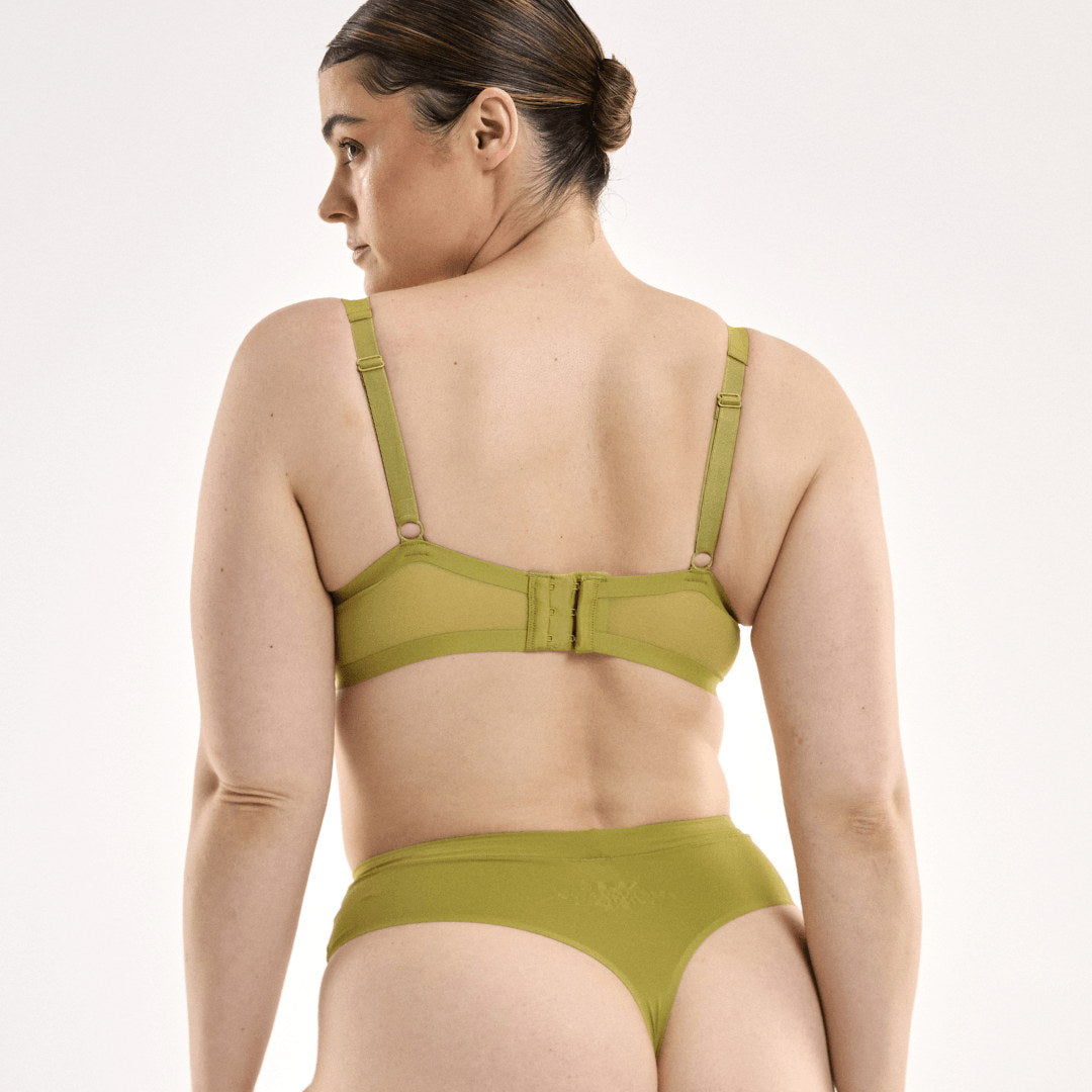 STEFANIA / 14DD, 14C / KIWI, 14D / KIWI, 14DD / KIWI, 14E / KIWI, 14F / KIWI, 14G / KIWI, 14h / KIWI, 16C / KIWI, 16D / KIWI, 16DD / KIWI, 16E / KIWI, 16F / KIWI, 16G / KIWI, 18C / KIWI, 18D / KIWI, 18DD / KIWI, 18E / KIWI, 18F / KIWI, 18G / KIWI, 20D / KIWI, 20DD / KIWI, 20E / KIWI, 20F / KIWI, 22D / KIWI, 22DD / KIWI, 22E / KIWI, 22F / KIWI, 22G