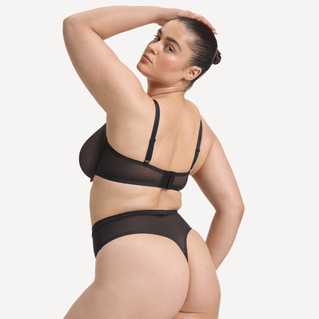 STEFANIA / 14B, 14B / LICORICE, 14C / LICORICE, 14D / LICORICE, 14DD / LICORICE,14E / LICORICE, 16B / LICORICE, 16C / LICORICE, 16D / LICORICE, 16DD / LICORICE, 16G / LICORICE, 18C / LICORICE, 18D / LICORICE