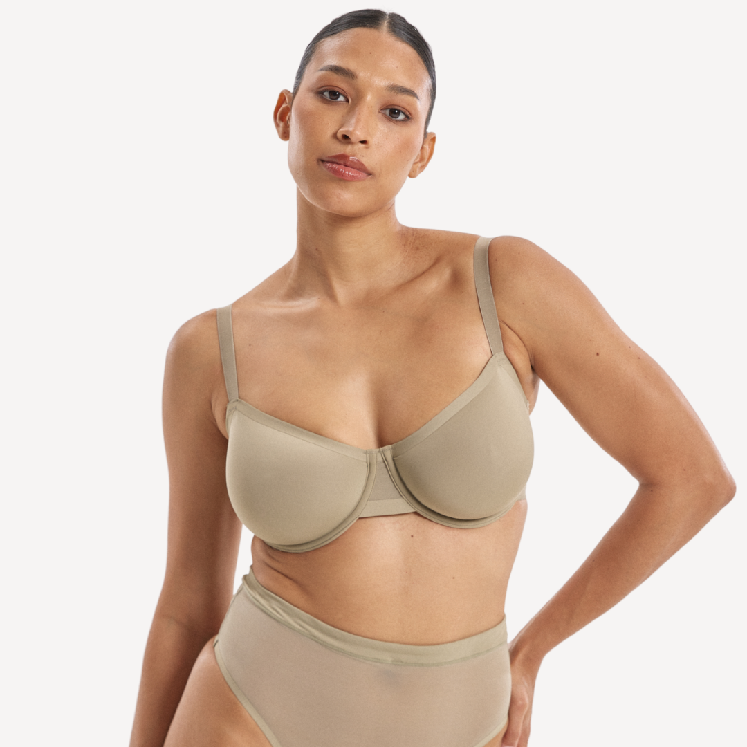 ALEJANDRA / 14D, 10B / PORCINI MUSHROOM, 10C / PORCINI MUSHROOM, 10D / PORCINI MUSHROOM, 10DD / PORCINI MUSHROOM, 10E / PORCINI MUSHROOM, 12B / PORCINI MUSHROOM, 12C / PORCINI MUSHROOM, 12D / PORCHINI MUSHROOM, 12DD / PORCINI MUSHROOM, 12E / PORCINI MUSHROOM, 12F / PORCINI MUSHROOM, 12G / PORCINI MUSHROOM, 14B / PORCINI MUSHROOM, 14C / PORCINI MUSHROOM, 14D / PORCINI MUSHROOM