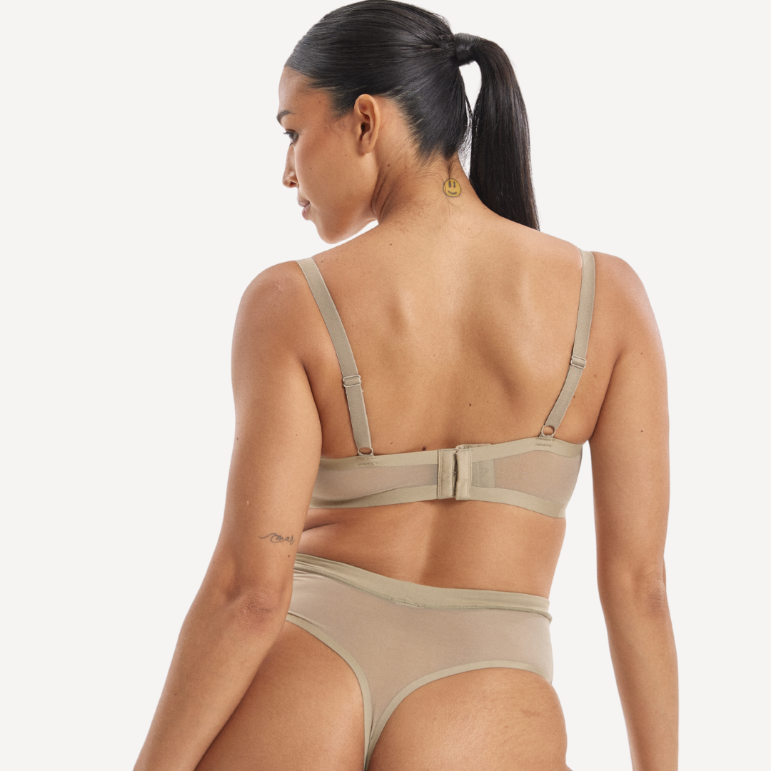 ALEJANDRA / 14D, 10B / PORCINI MUSHROOM, 10C / PORCINI MUSHROOM, 10D / PORCINI MUSHROOM, 10DD / PORCINI MUSHROOM, 10E / PORCINI MUSHROOM, 12B / PORCINI MUSHROOM, 12C / PORCINI MUSHROOM, 12D / PORCHINI MUSHROOM, 12DD / PORCINI MUSHROOM, 12E / PORCINI MUSHROOM, 12F / PORCINI MUSHROOM, 12G / PORCINI MUSHROOM, 14B / PORCINI MUSHROOM, 14C / PORCINI MUSHROOM, 14D / PORCINI MUSHROOM