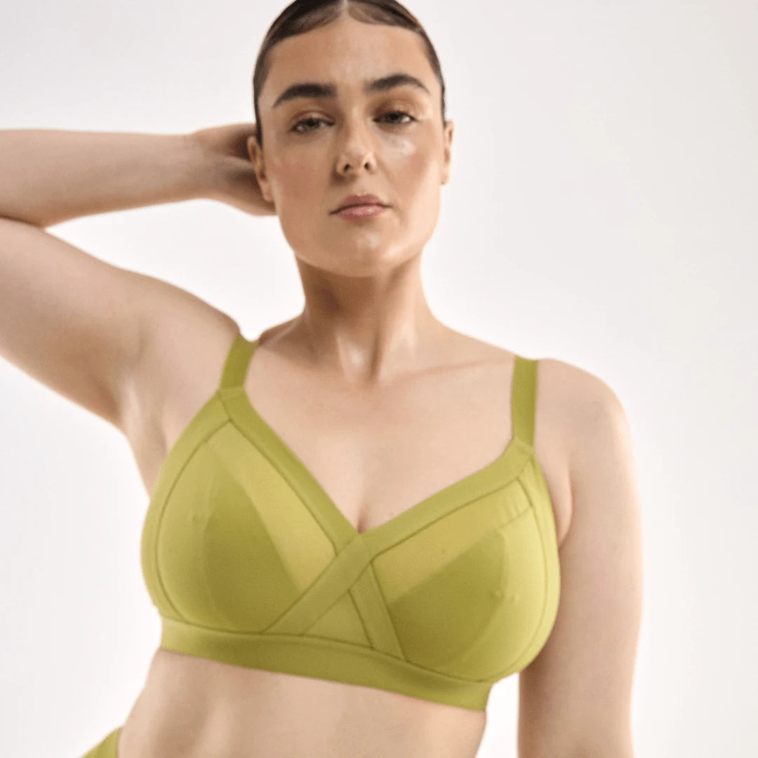 STEFANIA / 14DD, 14C / KIWI, 14D / KIWI, 14DD / KIWI, 14E / KIWI, 14F / KIWI, 14G / KIWI, 14h / KIWI, 16C / KIWI, 16D / KIWI, 16DD / KIWI, 16E / KIWI, 16F / KIWI, 16G / KIWI, 18C / KIWI, 18D / KIWI, 18DD / KIWI, 18E / KIWI, 18F / KIWI, 18G / KIWI, 20D / KIWI, 20DD / KIWI, 20E / KIWI, 20F / KIWI, 22D / KIWI, 22DD / KIWI, 22E / KIWI, 22F / KIWI, 22G