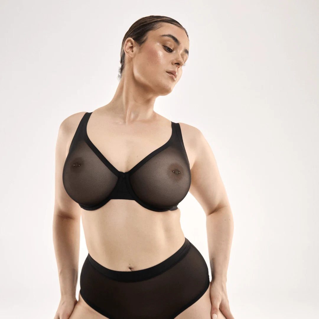 STEFANIA / 14DD, 14C / LICORICE, 14D / LICORICE, 14DD / LICORICE, 14E / LICORICE, 14F / LICORICE, 14G / LICORICE, 14h / LICORICE, 16C / LICORICE, 16D / LICORICE, 16DD / LICORICE, 16E / LICORICE, 16F / LICORICE, 16G / LICORICE, 18C / LICORICE, 18D / LICORICE, 18DD / LICORICE, 18E / LICORICE, 18F / LICORICE, 18G / LICORICE, 20D / LICORICE, 20DD / LICORICE, 20E / LICORICE, 20F / LICORICE, 22D / LICORICE, 22DD / LICORICE, 22E / LICORICE, 22F / LICORICE, 22G