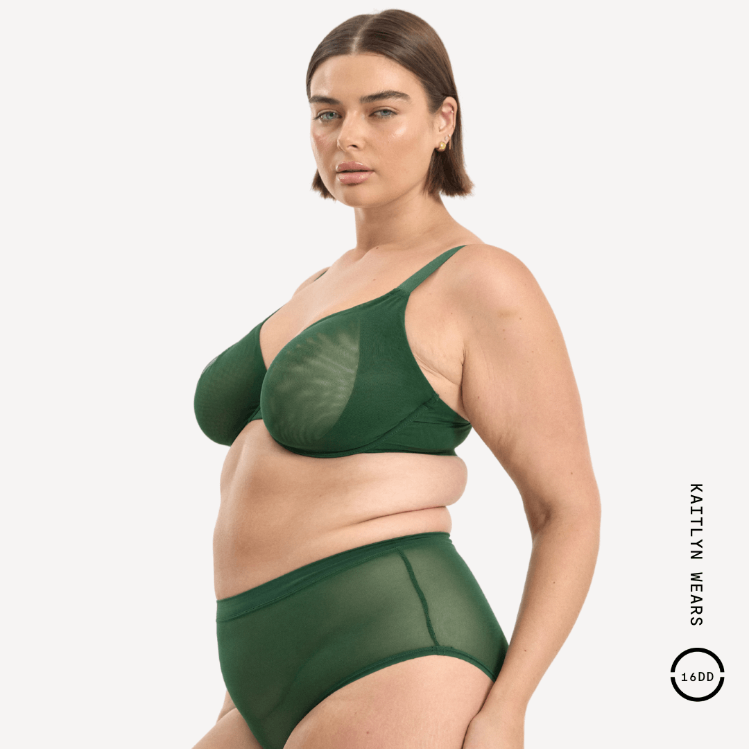 14C / POISON IVY, 14D / POISON IVY, 14DD / POISON IVY, 14E / POISON IVY, 14F / POISON IVY, 14G / POISON IVY, 14h / POISON IVY, 16C / POISON IVY, 16D / POISON IVY, 16DD / POISON IVY, 16E / POISON IVY, 16F / POISON IVY, 16G / POISON IVY, 18C / POISON IVY, 18D / POISON IVY, 18DD / POISON IVY, 18E / POISON IVY, 18F / POISON IVY, 18G / POISON IVY, 20D / POISON IVY, 20DD / POISON IVY, 20E / POISON IVY, 20F / POISON IVY, 22D / POISON IVY, 22DD / POISON IVY, 22E / POISON IVY, 22F / POISON IVY, 22G / POISON IVY, 24C