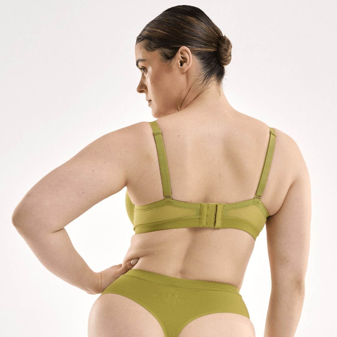 STEFANIA / 14DD, 14C / KIWI, 14D / KIWI, 14DD / KIWI, 14E / KIWI, 14F / KIWI, 14G / KIWI, 14h / KIWI, 16C / KIWI, 16D / KIWI, 16DD / KIWI, 16E / KIWI, 16F / KIWI, 16G / KIWI, 18C / KIWI, 18D / KIWI, 18DD / KIWI, 18E / KIWI, 18F / KIWI, 18G / KIWI, 20D / KIWI, 20DD / KIWI, 20E / KIWI, 20F / KIWI, 22D / KIWI, 22DD / KIWI, 22E / KIWI, 22F / KIWI, 22G