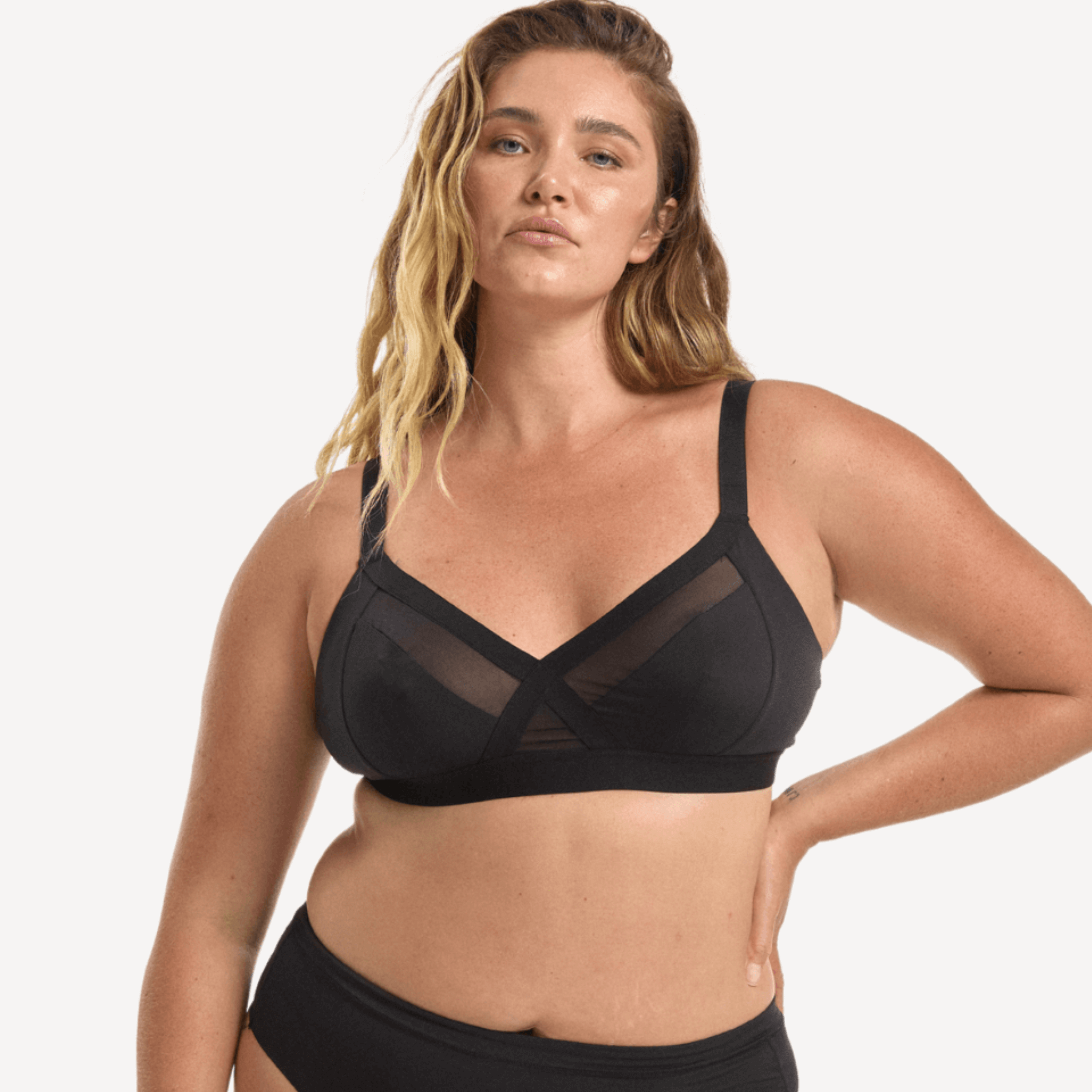 STEFANIA / 14DD, 14DD / LICORICE, 14E / LICORICE, 14F / LICORICE,